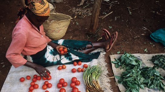 Bild zeigt Marktfrau die vom Mikrofinanzprogramm von einer Partnerorganisation profitiert.
